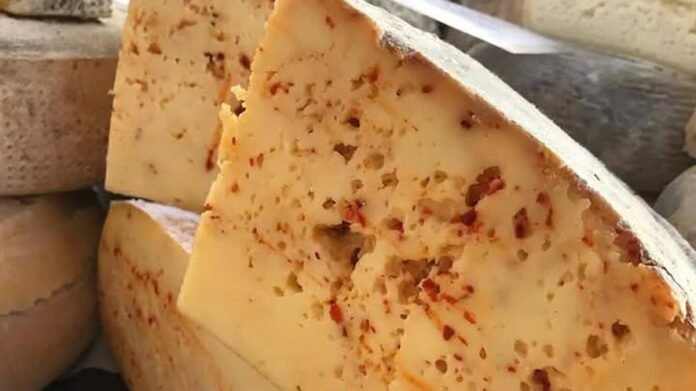 Formaggio