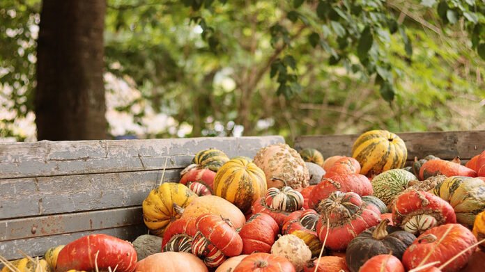 Autunno