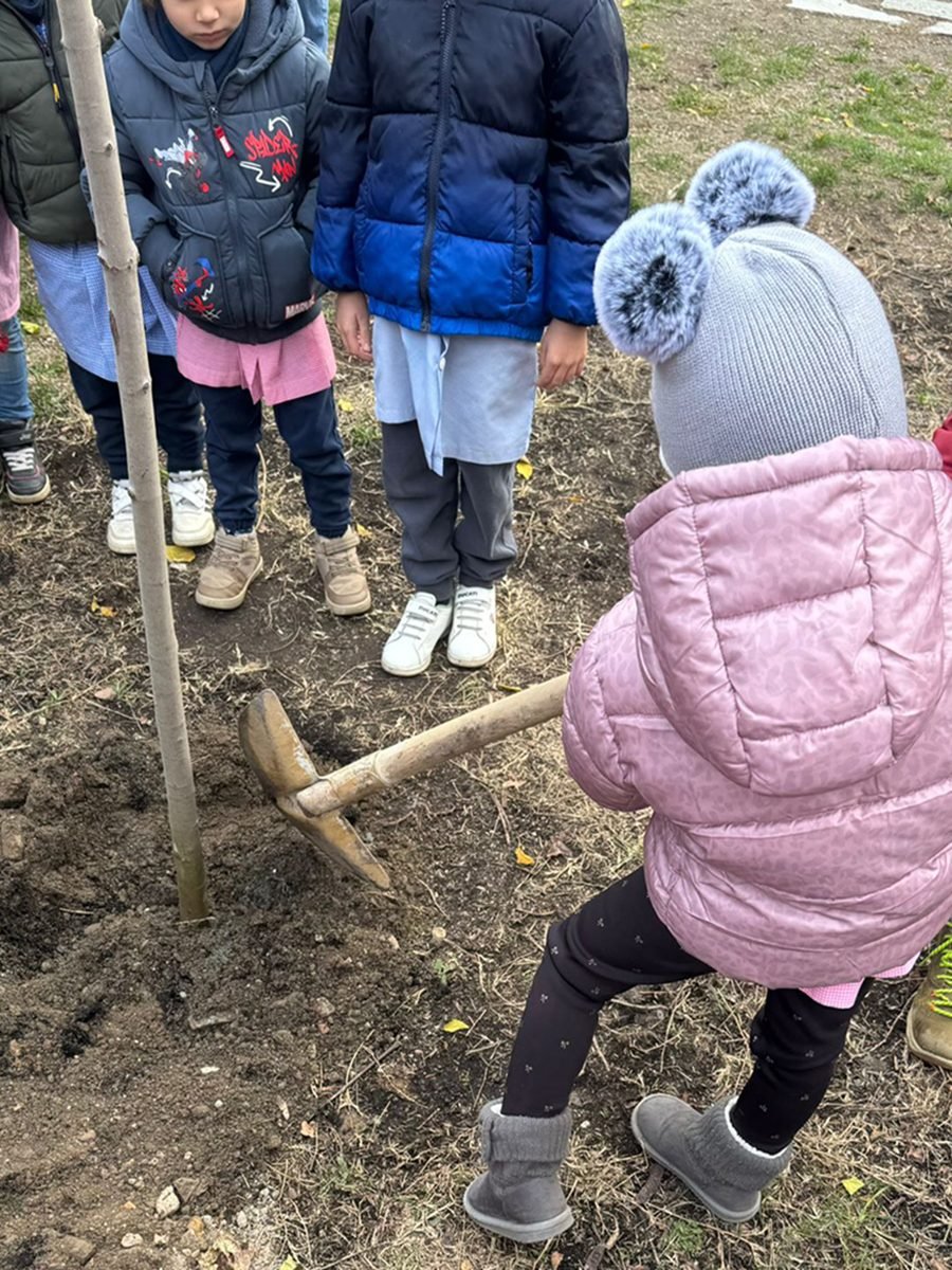 Scuola Picco