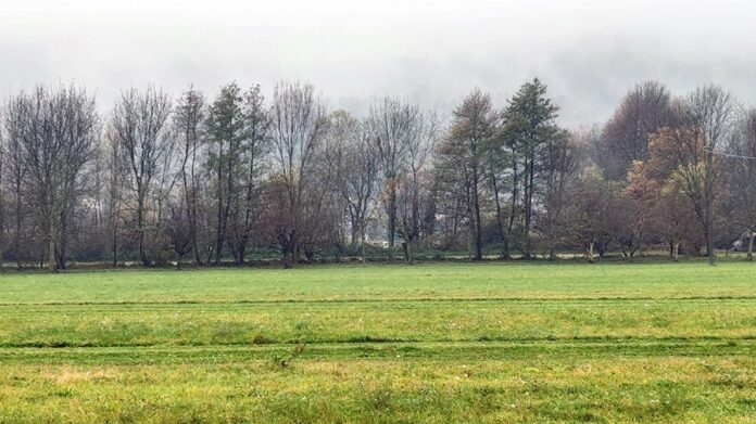 Meteo autunno