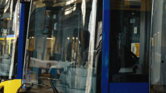 Bus