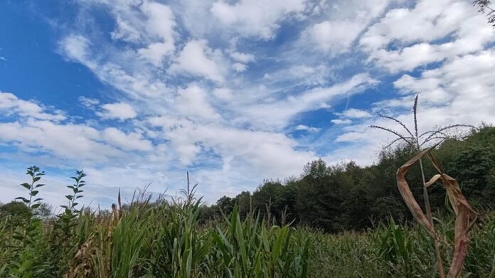 Collina Morenica