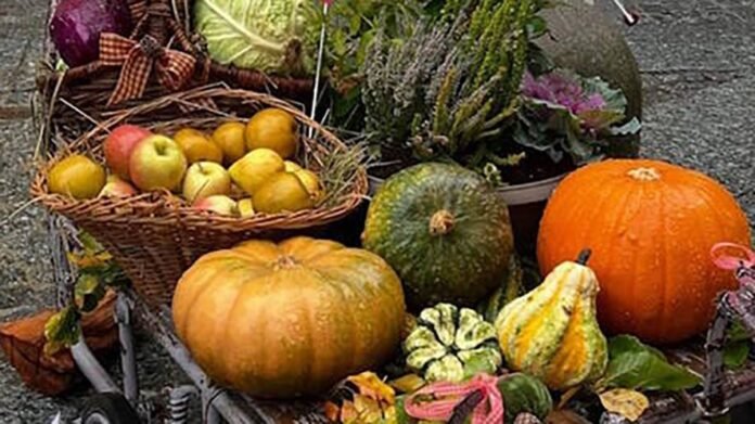 Festa d'autunno