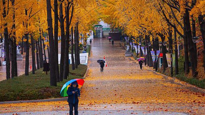 persone-pioggia-autunno copia