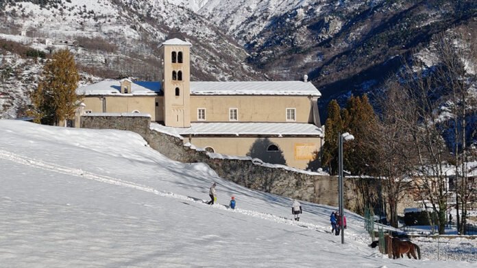 Frassinere inverno