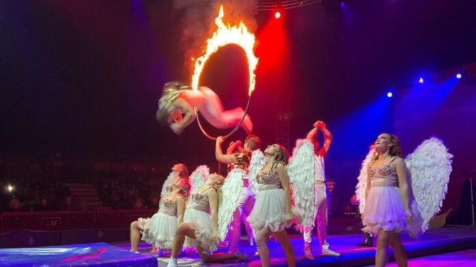 Grande Circo di Natale a Rivoli