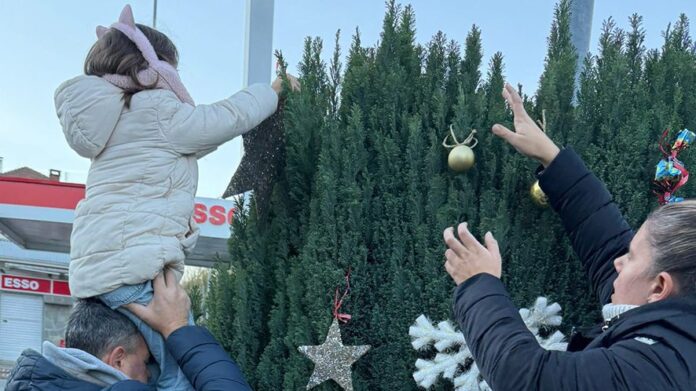 Albero a Sant'Antonino