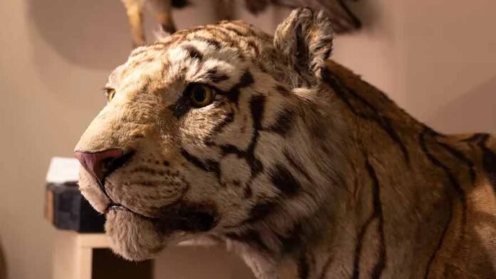 Museo Scienze a Torino