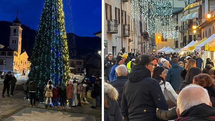 A Susa l'albero