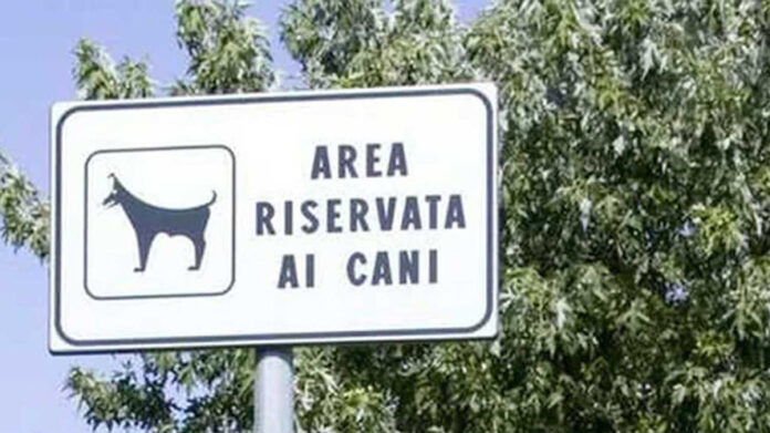 Area cani