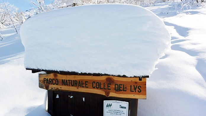 Colle del Lys