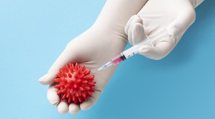 Papilloma Virus