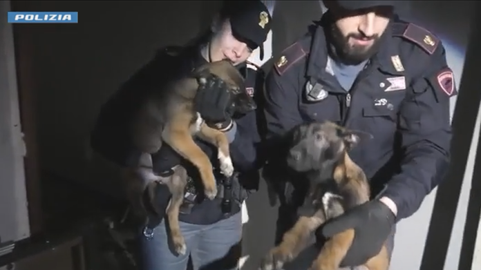 Polizia
