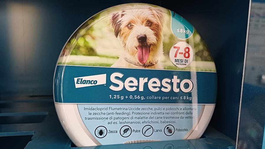 Pet Store Valley