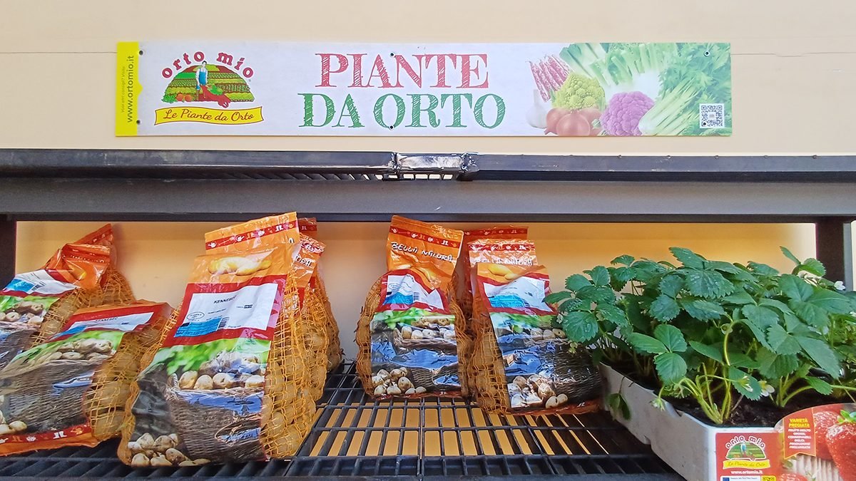Grisa Edilizia