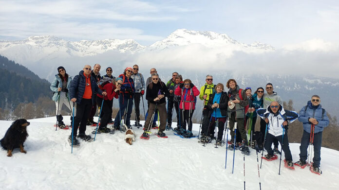 fagiolo di legno Frais