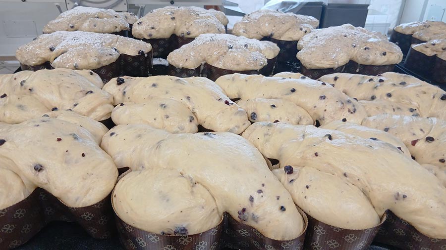 Pasticceria Alternino