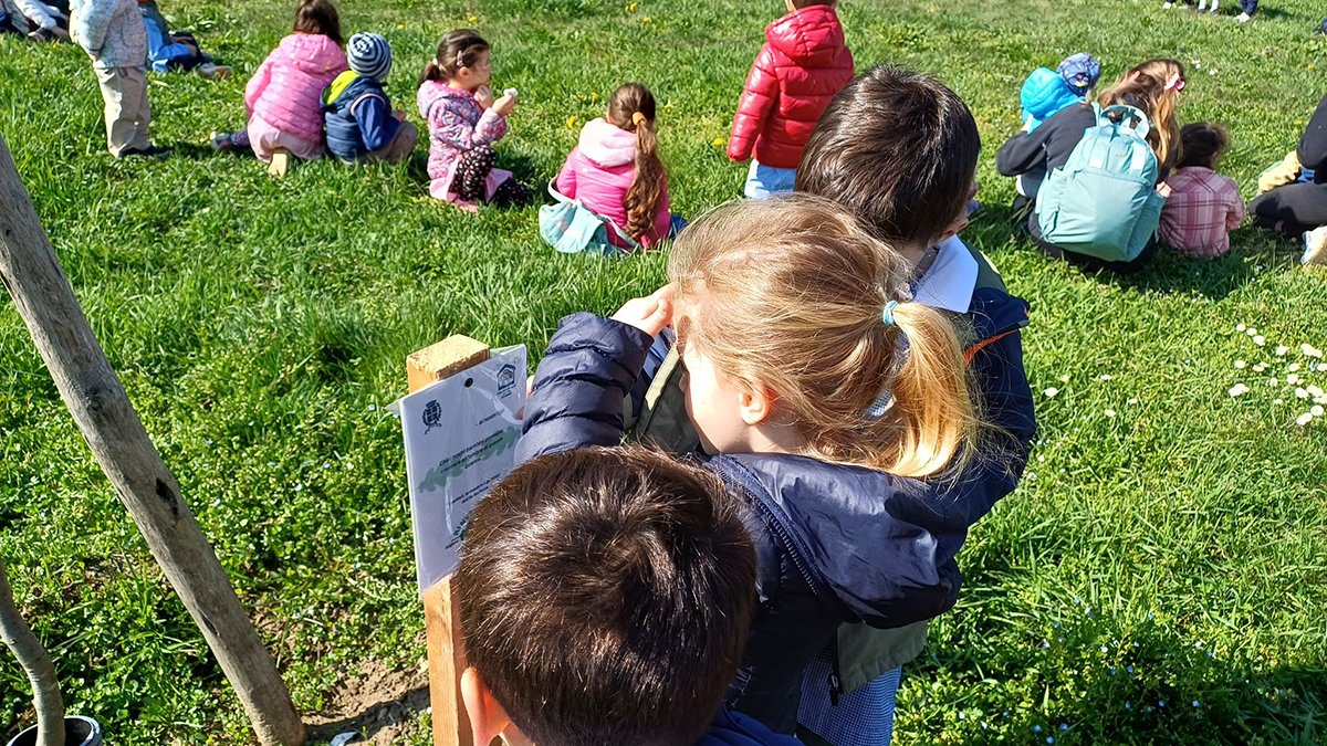 Scuola Picco Zerosei