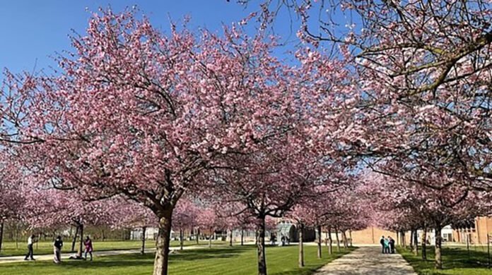 Primavera Reggia di Venaria