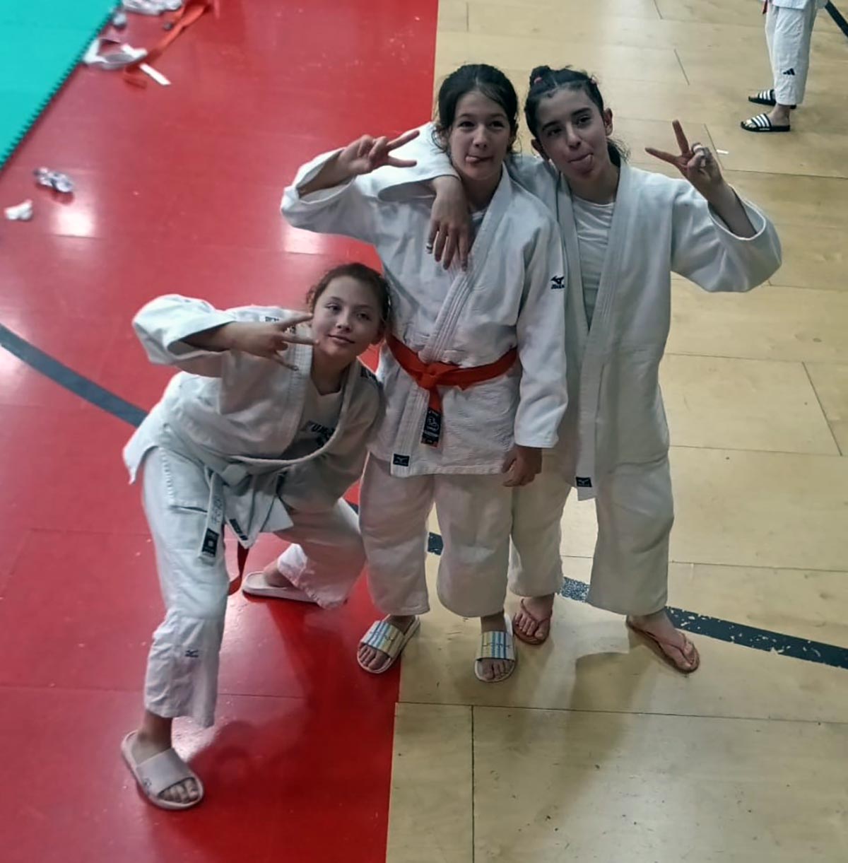 Judo Kumiai
