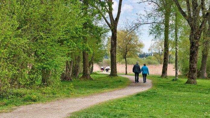 Meteo Valsusa Primavera