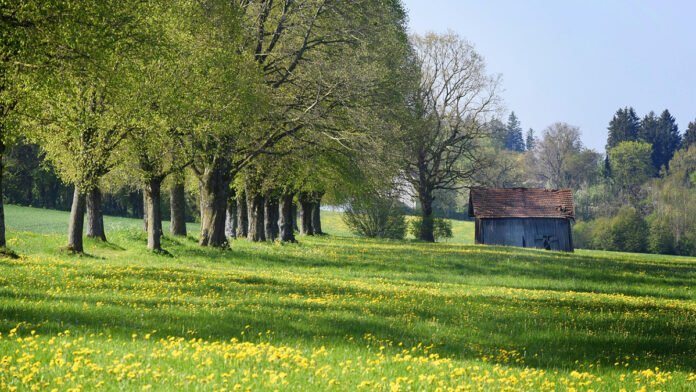Meteo Valsusa Primavera