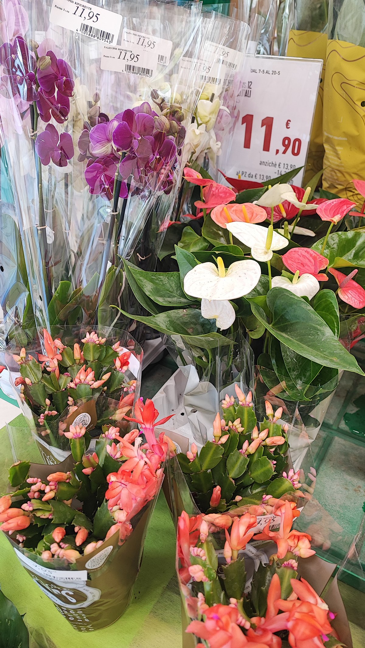 Le Baite Oulx Conad