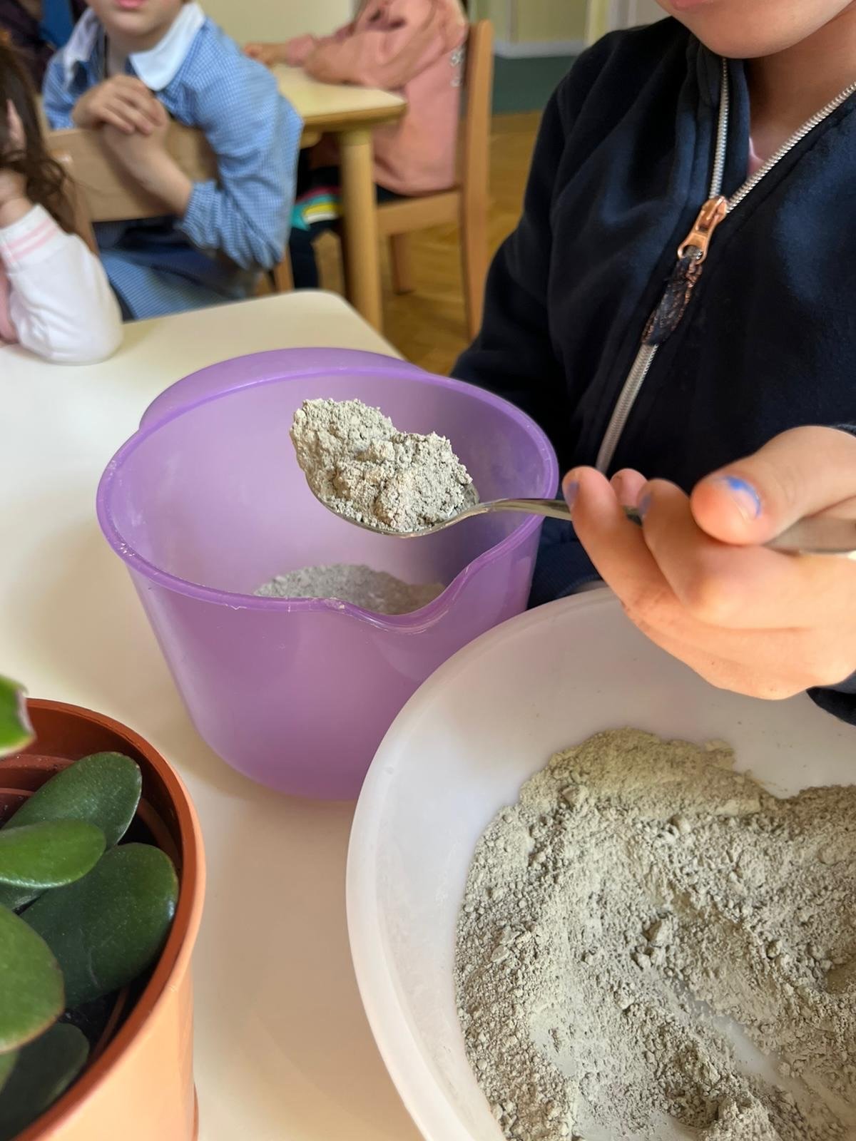 Scuola Picco