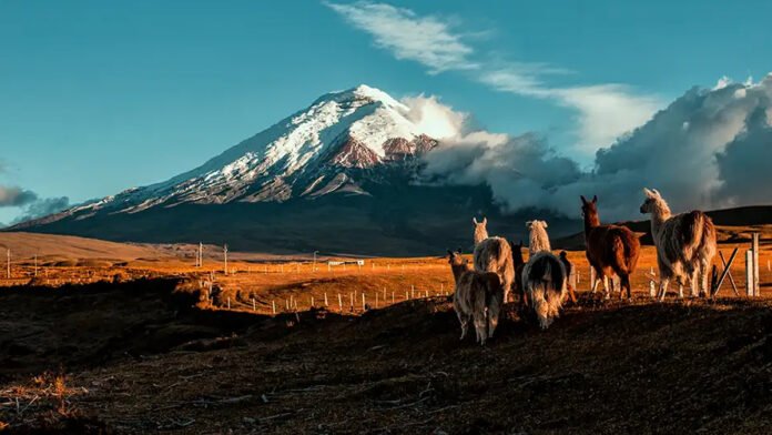 Ecuador