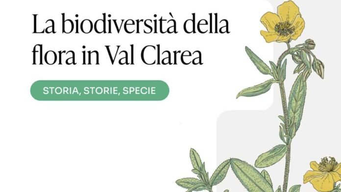 TAV Torino Lione