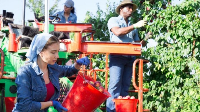 Contributi per la sistemazione temporanea dei salariati nelle aziende agricole in Piemonte