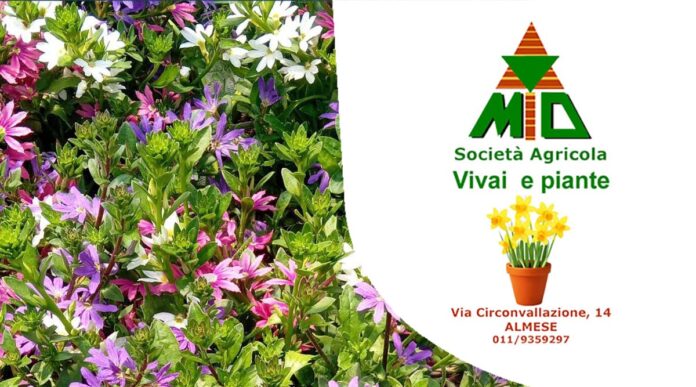 Vivaio Gulli Almese