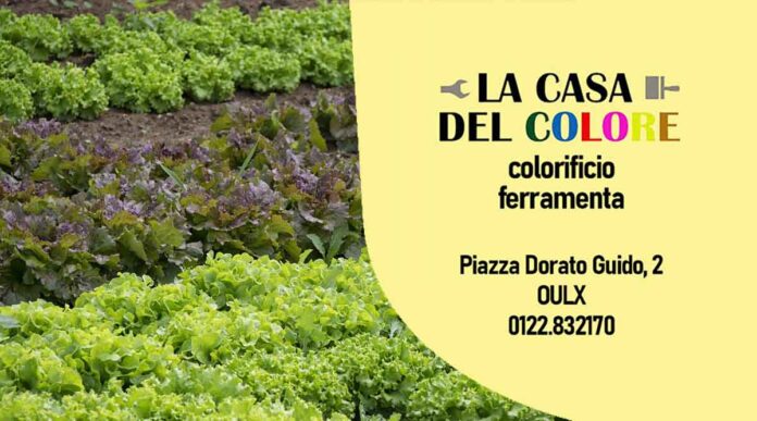 La Casa del Colore