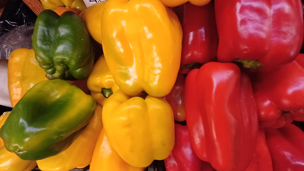 Alex Frutta
