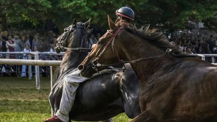 Palio di Avigliana