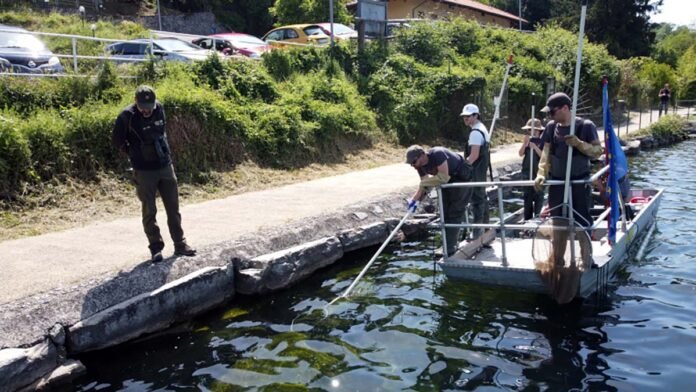 Pesca ad Avigliana