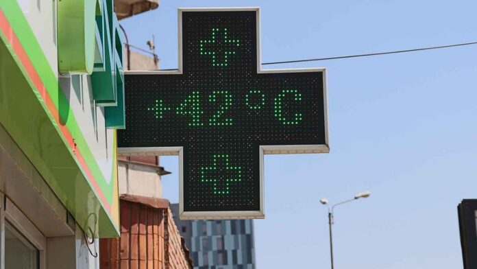 Caldo termometro