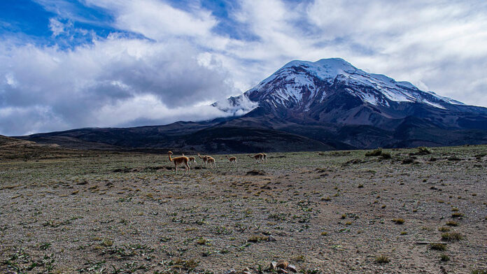 Chimborazo