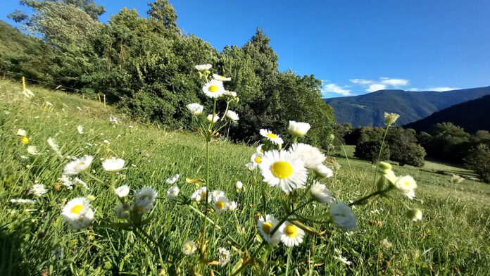 Valsusa