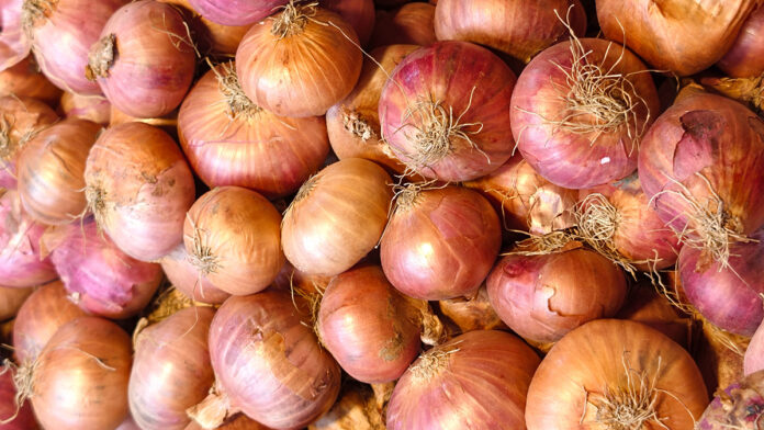 Cipolla