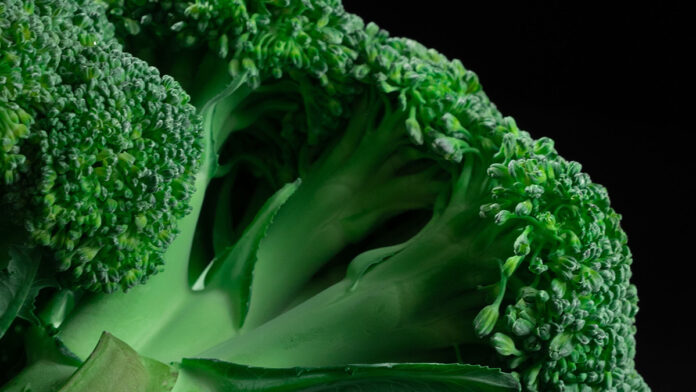 Vegano