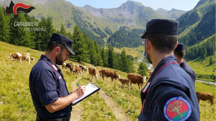 Carabinieri Forestali