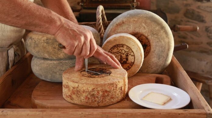 Formaggio della Valsusa